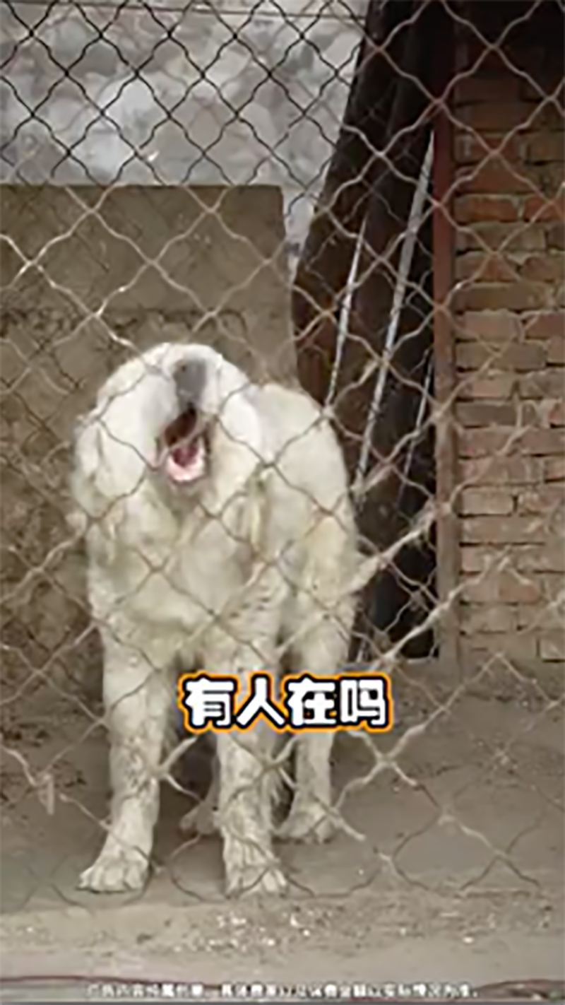 圖片 21.png